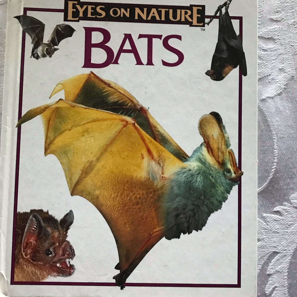 Eyes on nature bats book
